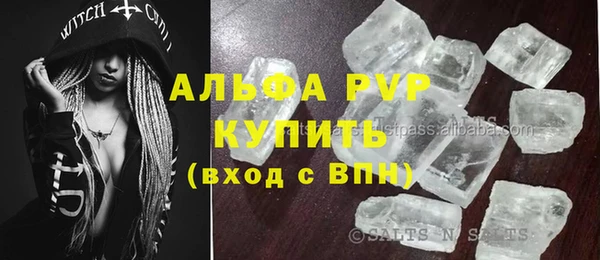 ECSTASY Инсар