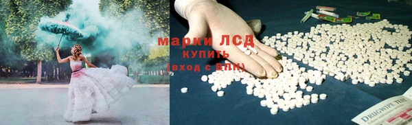 шишки Карпинск
